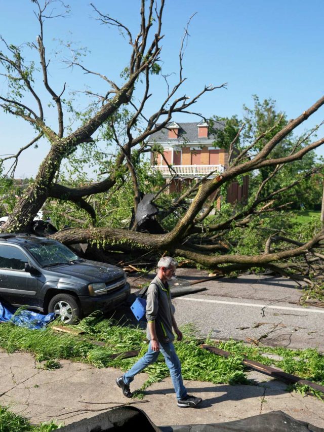Tornado Kills at least 21 Weather News in Missouri and Kentucky, USA