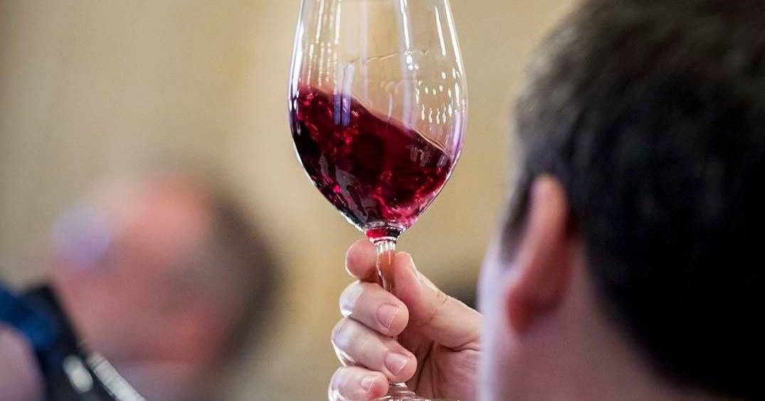 Touriga Nacional do Douro é o melhor vinho de Portugal em 2025