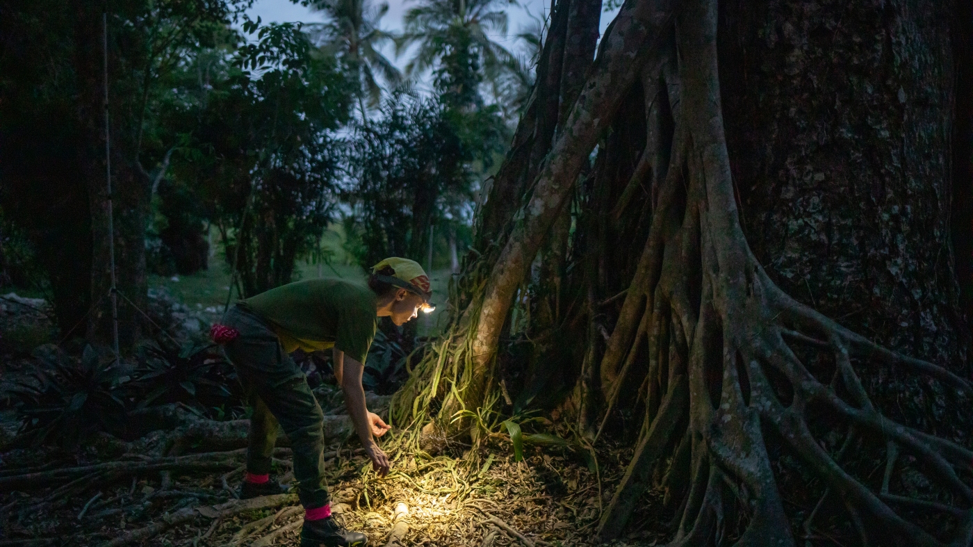 Track the world's biodiversity using Edna: NPR