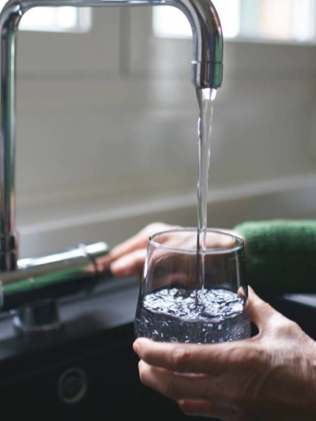 Trump administrators plan to postpone restrictions on “forever chemicals” in water