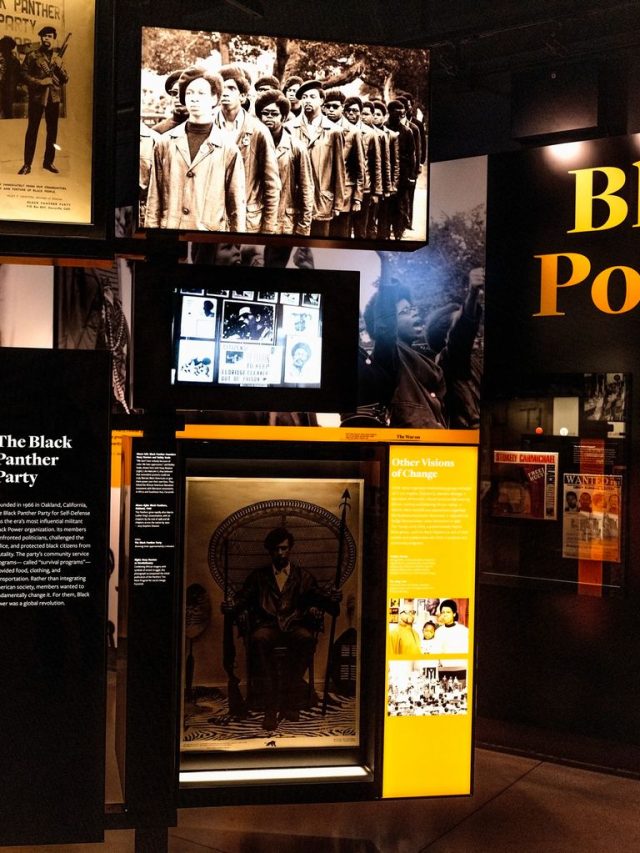 Trump wants to eliminate black history. These digital archivists are racing to save it