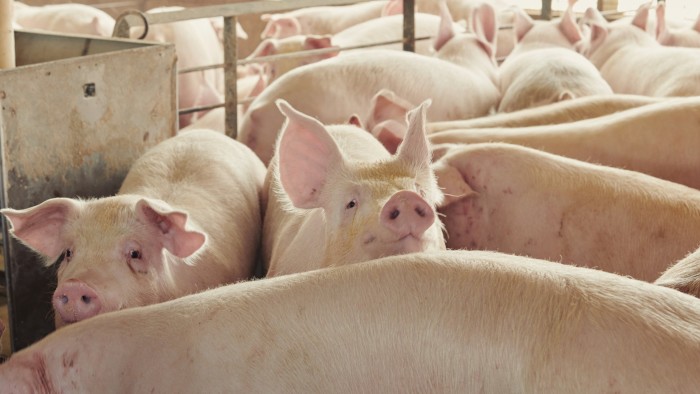 US Pork, Poultry and Seafood Markets targeting UK