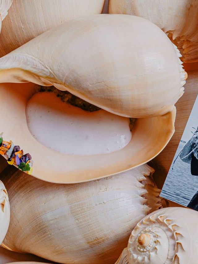 “Viajar através da lenda do Algarve”: o Restaurante Alameda é o guia de prata da Good Bed Good Table 2025
