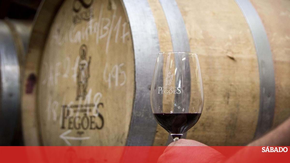 Vinho para o fim de semana: vinhedos antigos – vinho