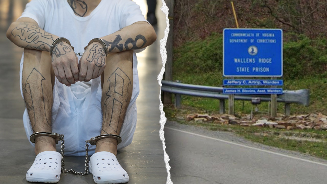 Virginia correctional officer stabbed by MS-13 Gangbanger in charge in a coordinated assault