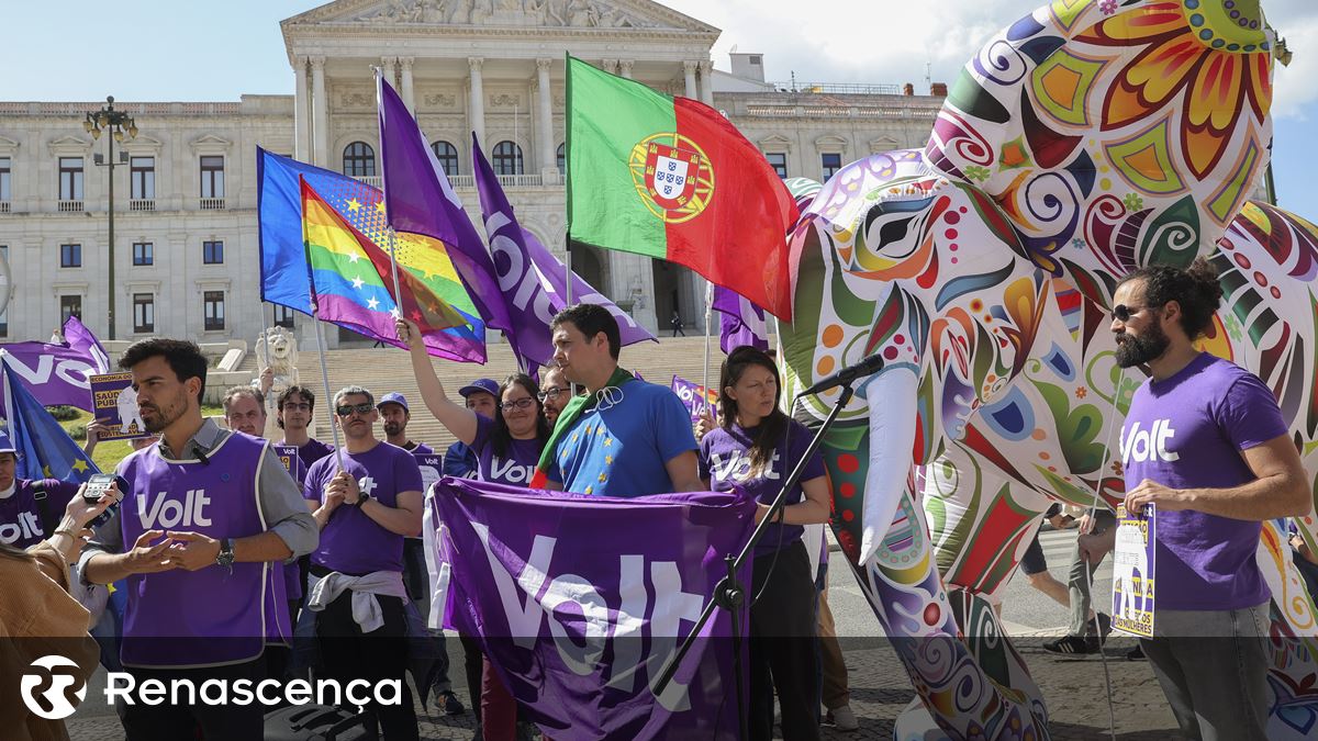 Volt defende a cobrança de impostos no nível europeu