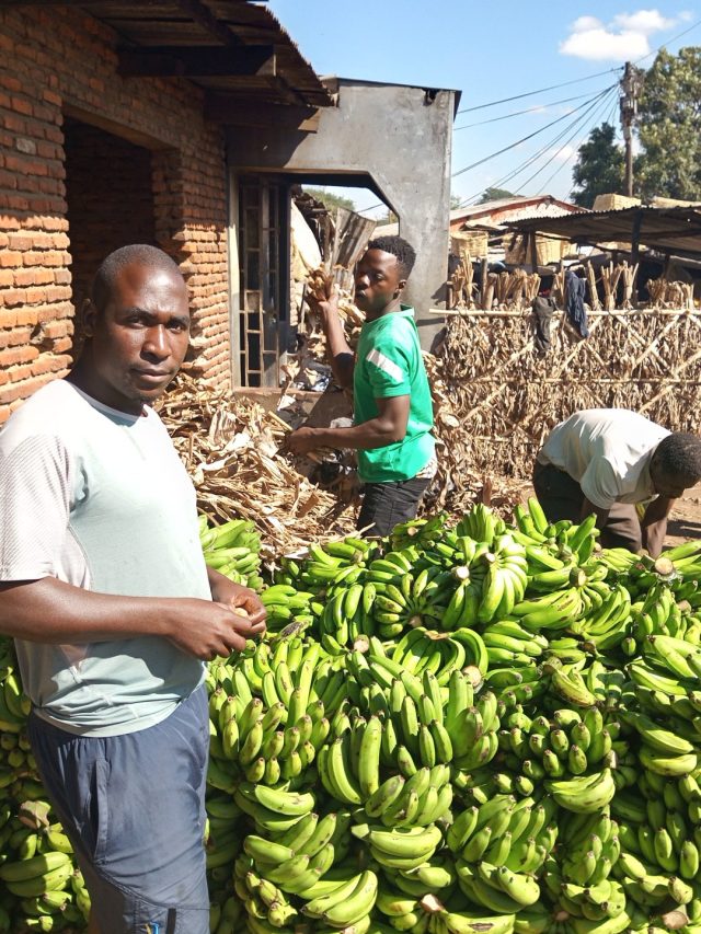“We need our bananas to return”: Malawi – Traders Left in Spit | Trade War News