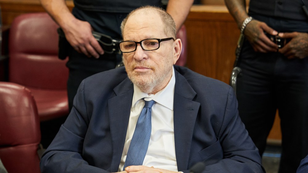 Weinstein plaintiff kaja sokola asked about diary during cross-examination