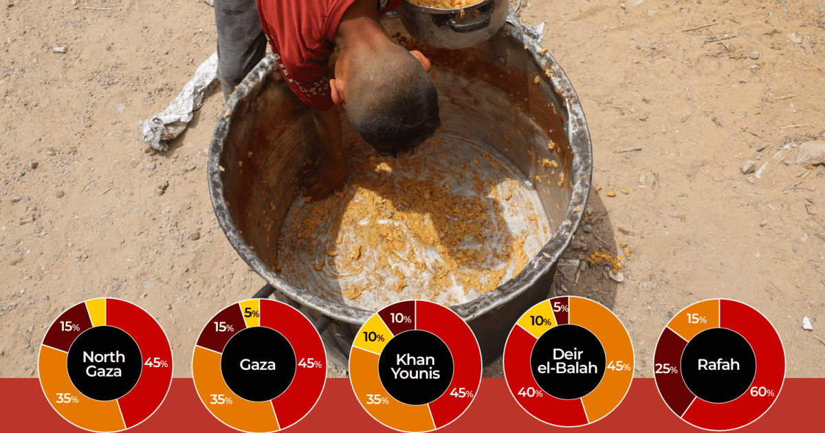 What is famine and why is it possible for Gaza to reach famine as soon as possible? |Israel-Palestine conflict news