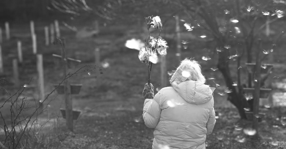 What to read to know about your mom
