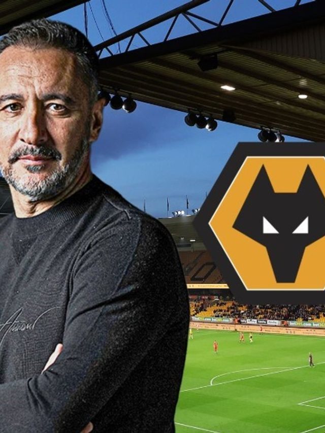 Wolves boss Vitor Pereira Buildings Before Conflict with Man City and Leonardo Da Similar to Pep Guardiola | Football News