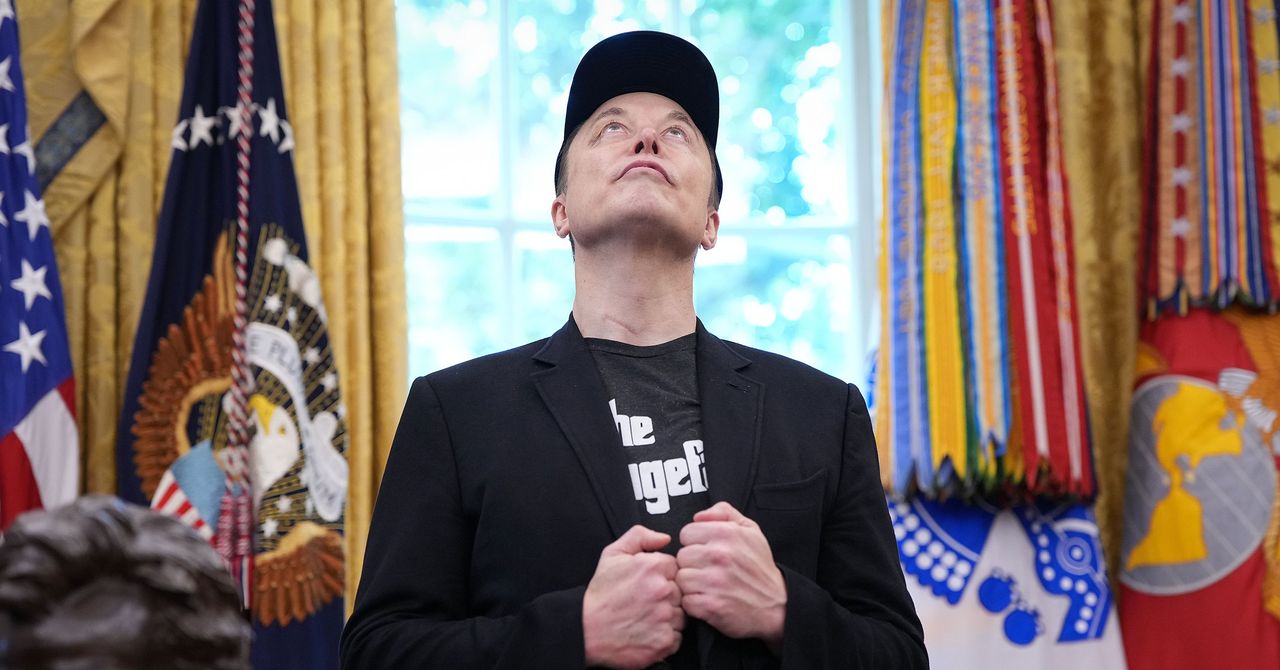“100% stupid”: Maga World turns cautiously to Elon Musk