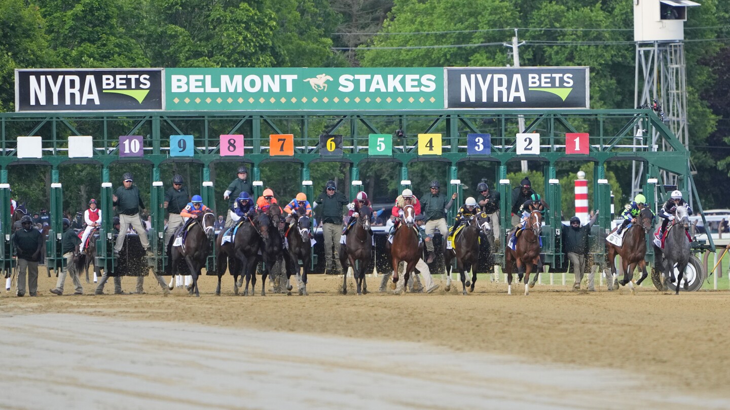 2025 Belmont Stakes updated odds: Positions, Expert Analytics, Jockey, Trainer and Fun Facts