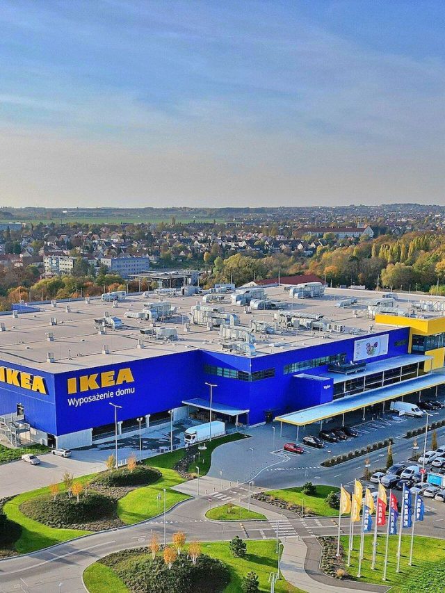 A investigação da IKEA quase matou uma das pessoas envolvidas. Uma árvore cai a cada 2 segundos