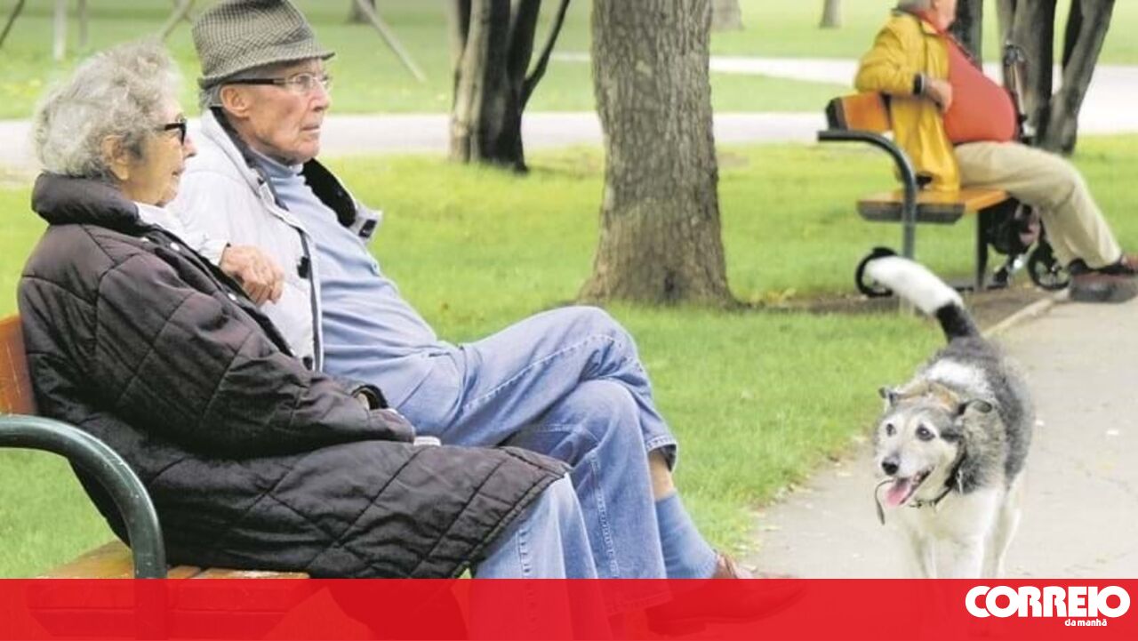A pensão precoce concedida este ano corta 16,9% – economia