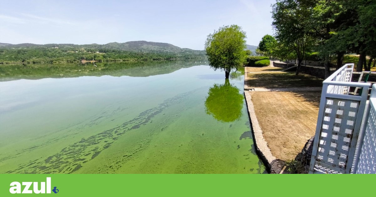 A poluição do rio Lima da Galicia está em julgamento na próxima semana | Espanha