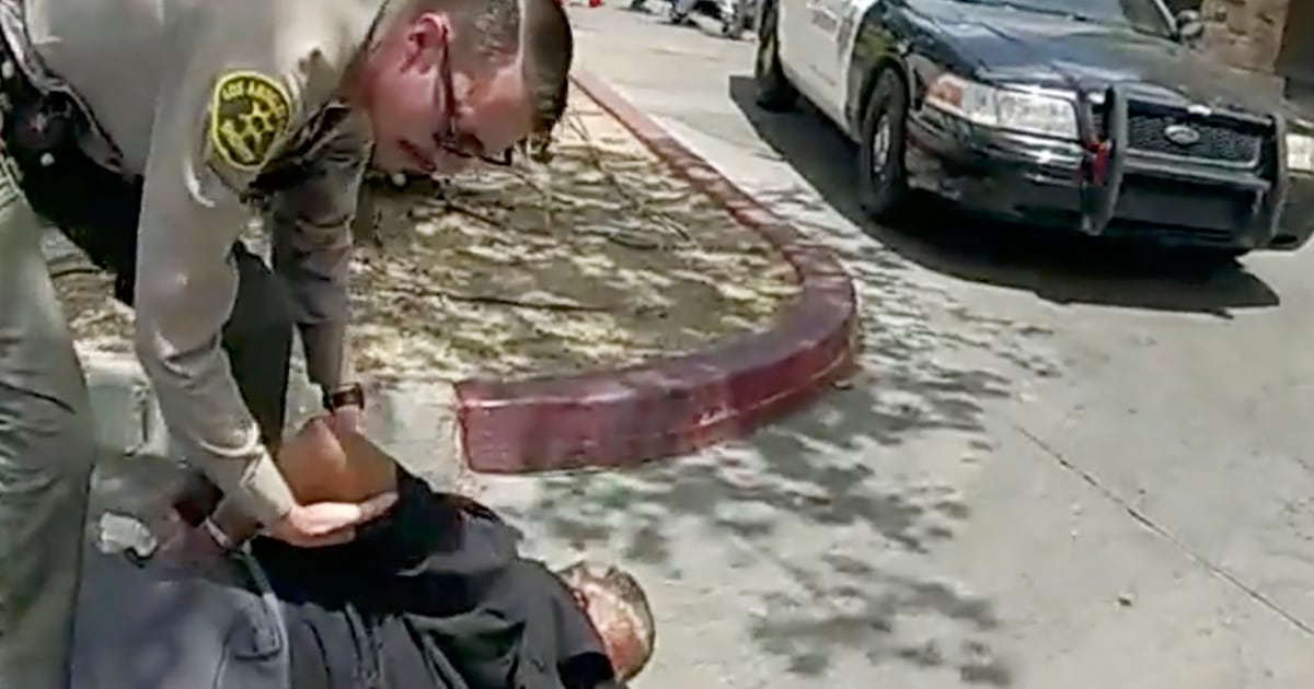 After felony, an officer who used excessive force was allowed to plead guilty to a misdemeanor