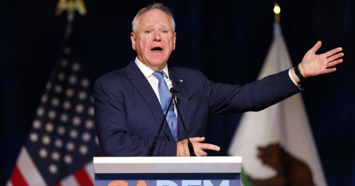 California Democrats gather