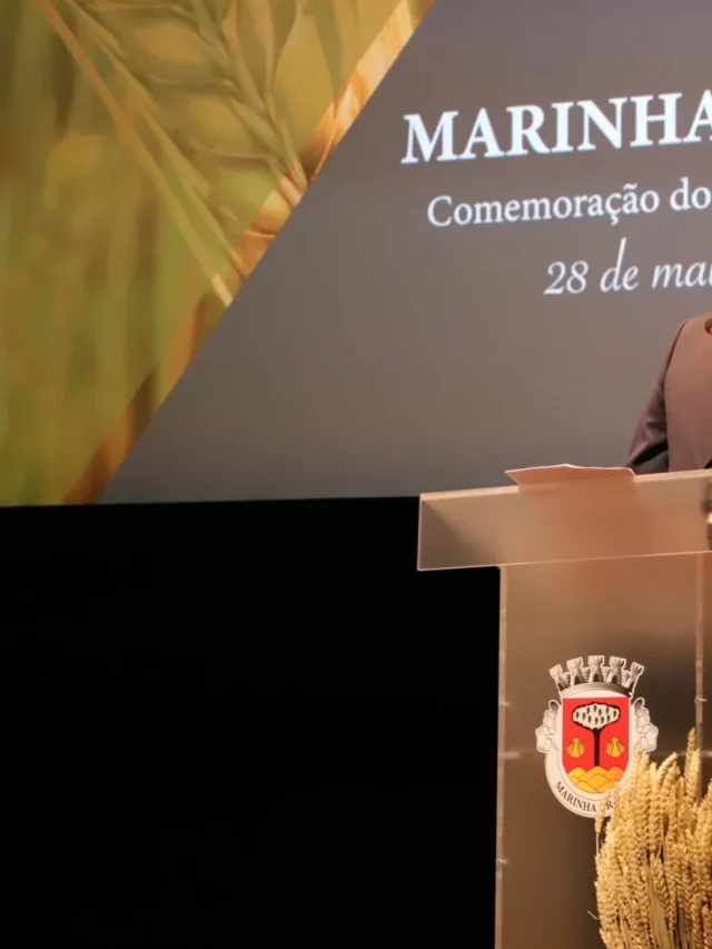 Criaturas marinhas com municípios