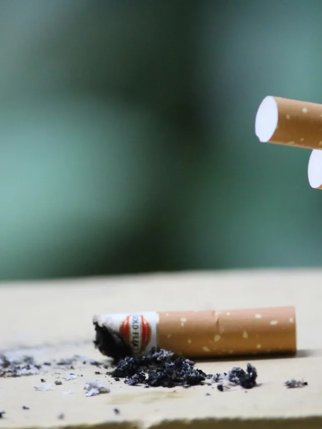 Existe um conceito político falso de que o tabaco faz parte da economia