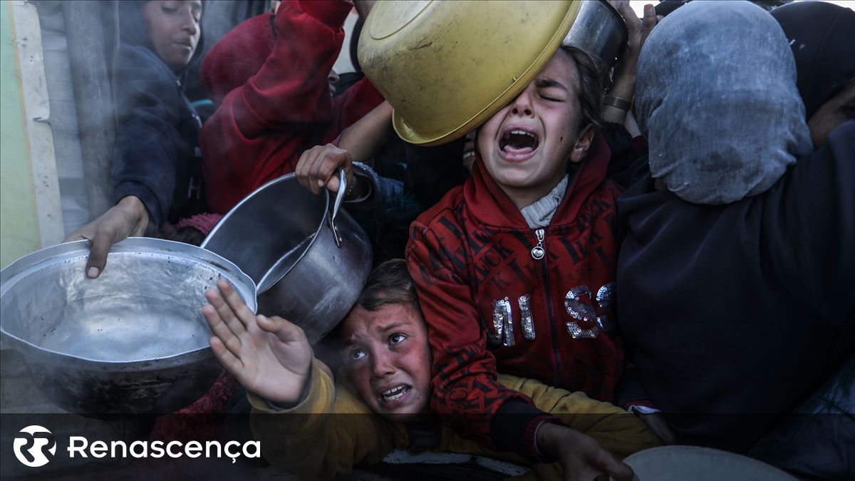 Gaza. Tropas israelenses matam 21 pessoas esperando por comida