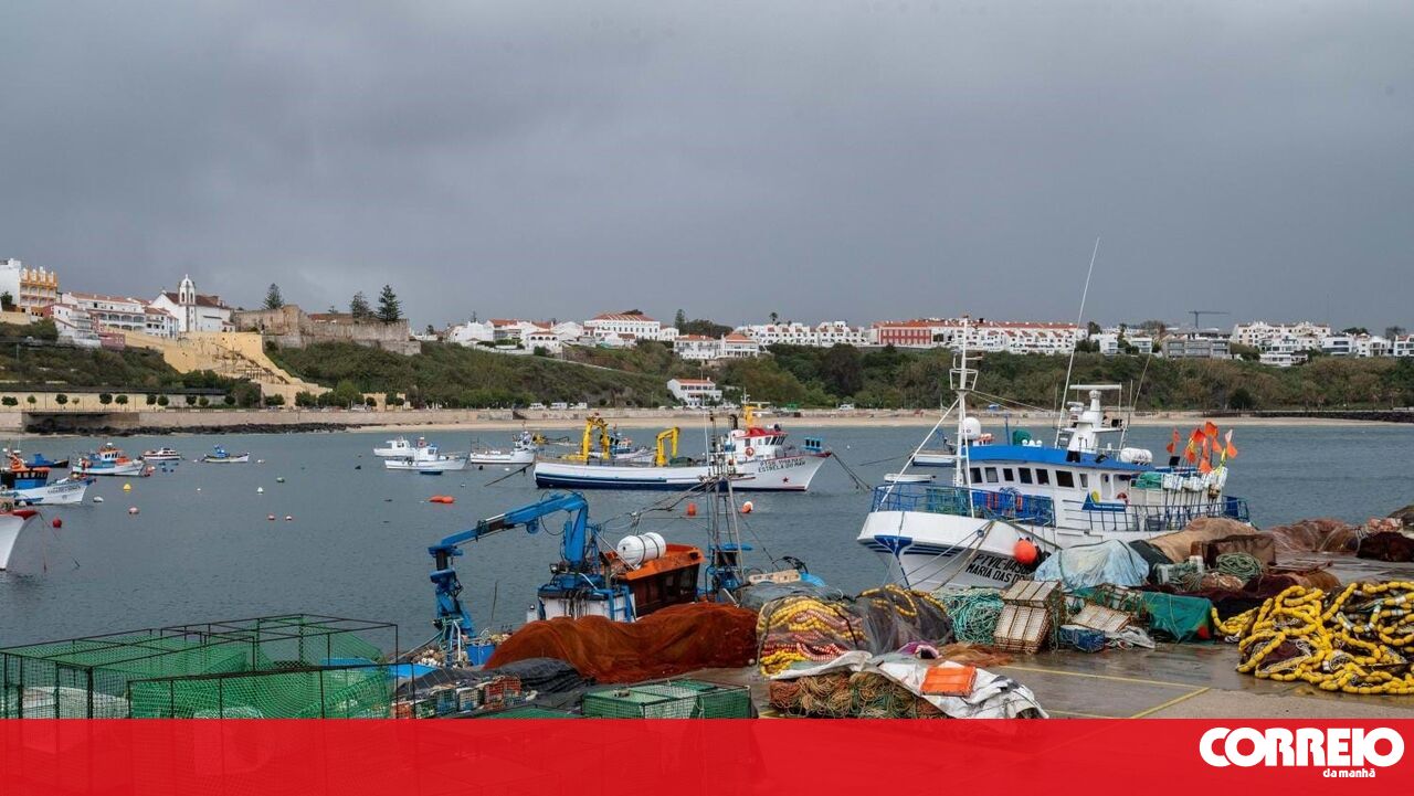 Greve no porto do pecado é o “maior de todos” do terminal xxi – sociedade