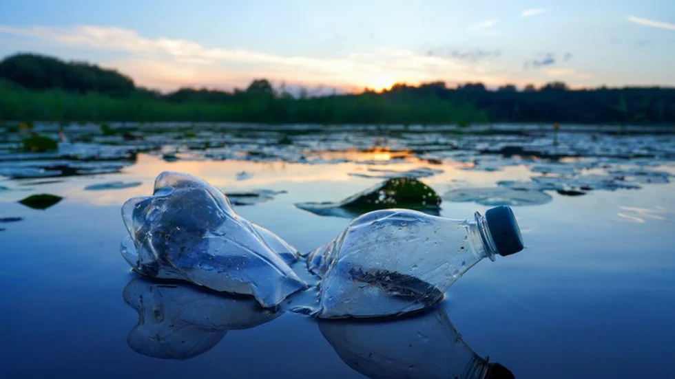 Hoje é o Dia Mundial do Meio Ambiente, centrado na poluição plástica