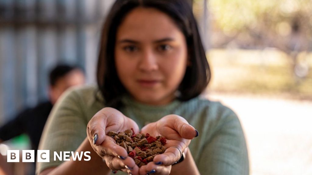 Honduras plans to turn cooking oil into soap and dog food