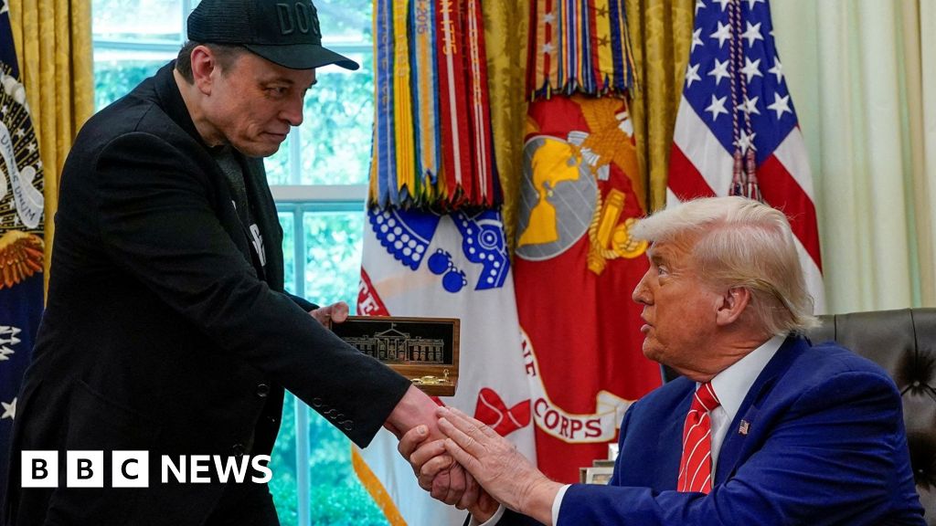 How Trump and Musk intertwined