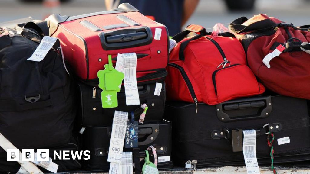 How airline fees turn luggage into billions of dollars