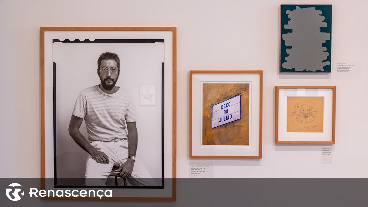 Julião Sarento Pavilion revela coleções e amizades de artistas