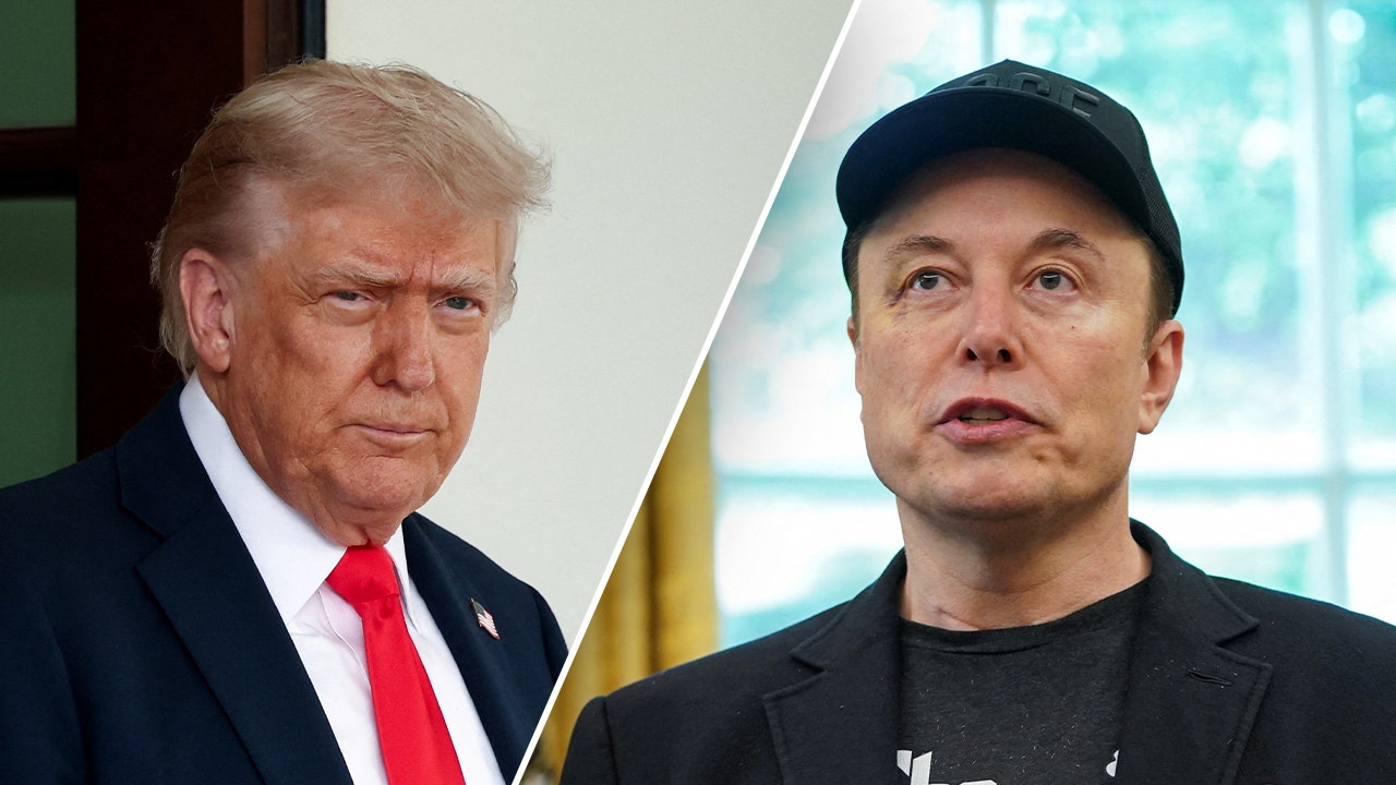 Logan Paul suggests Trump, Musk settles in WWE ring
