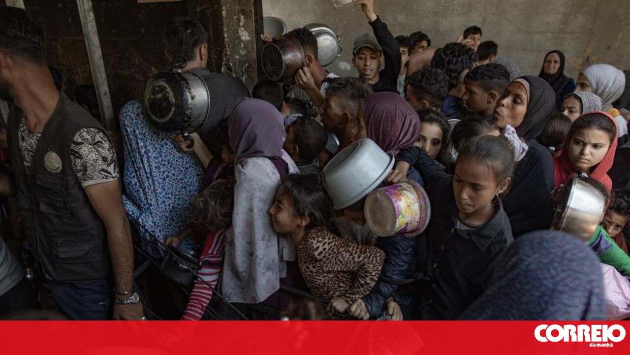 Mais de 30 pessoas morreram durante a distribuição de alimentos – Israel – Guerra do Hamas