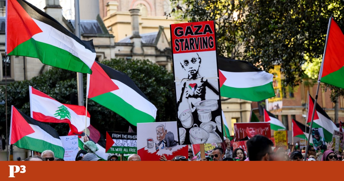 Mais de 30 português viajarão para Gaza | Gaza
