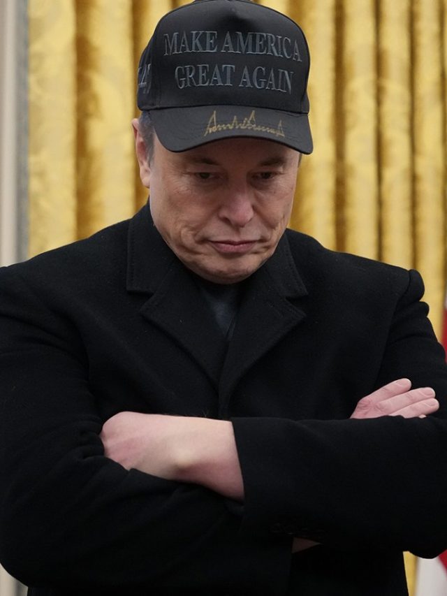 New Elizabeth Warren reports 130-day Elon Musk scandal