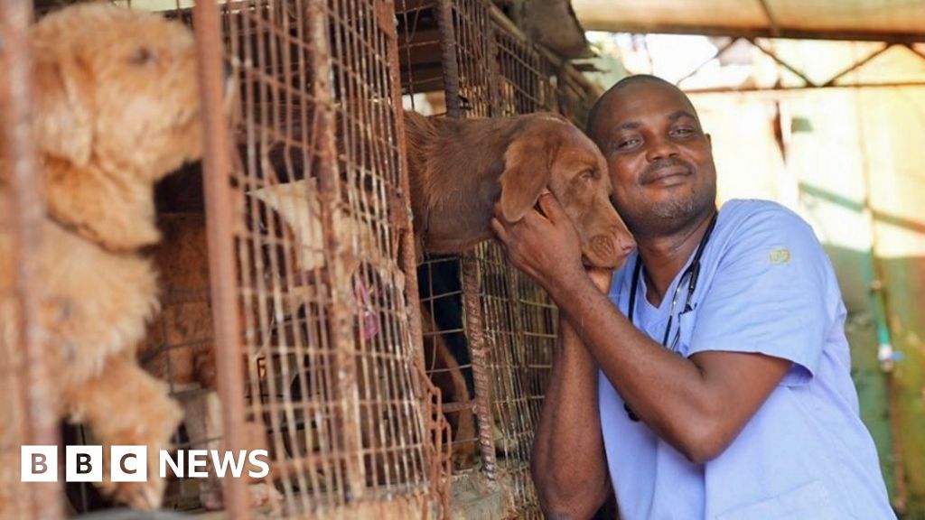 Nigerians give up pets due to cost-of-living crisis