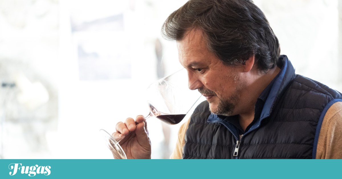 O retrô de Passarella se tornou um dos melhores vinhos portugueses |