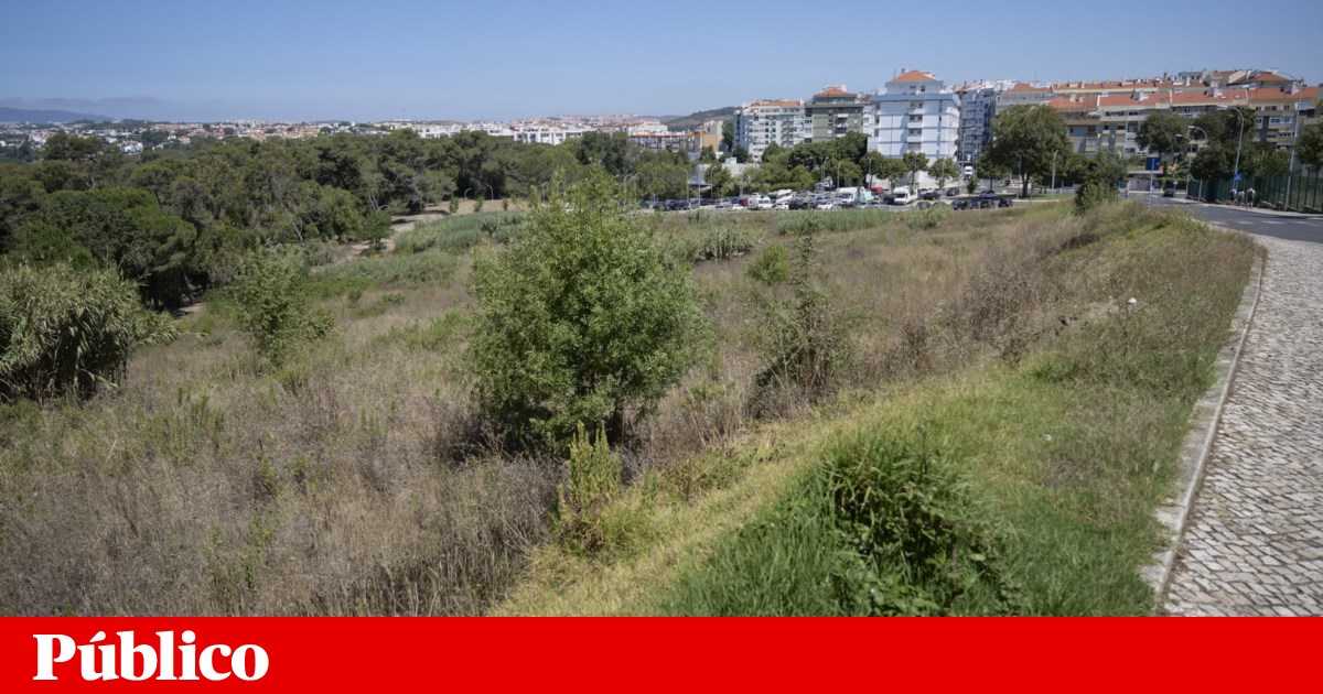 Oiras: Padel City não estará mais em Linda-A-Velha | Oiras