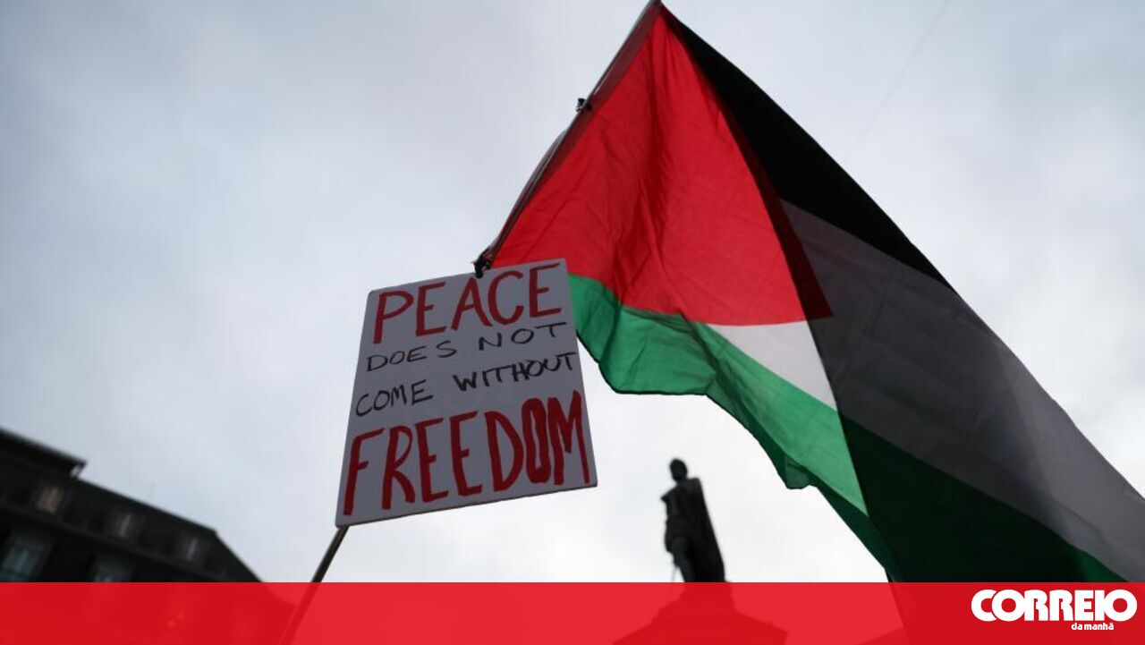 Os dados da sociedade civil publicam petições que reconhecem a Palestina – Sociedade