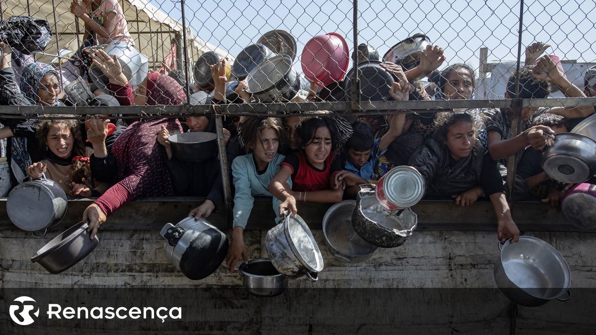 Pelo menos 24 palestinos serão mortos por israelenses perto do local de ajuda de Gaza