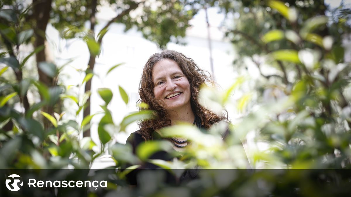 “Precisamos de soluções duradouras e sustentáveis ​​na Ucrânia central e ocidental”