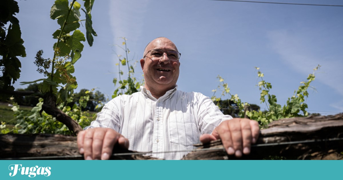 Professor de “Agricultura” desafiando os alunos a construir a festa do vinho verde | Perfil