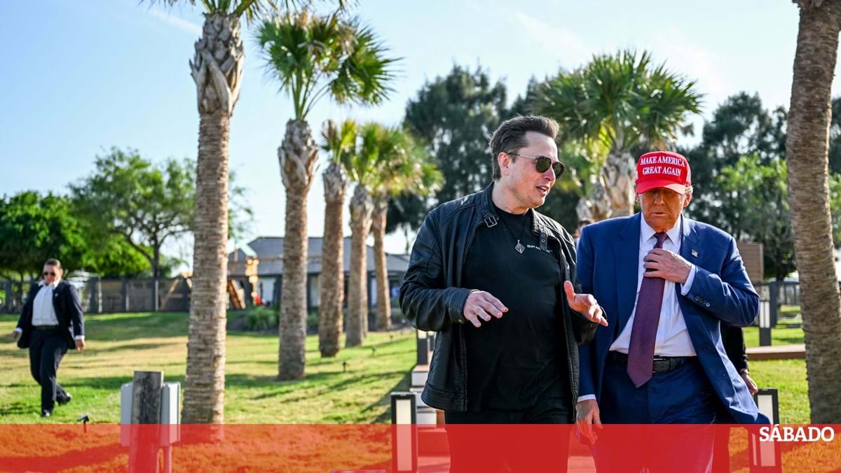 Qual é o “divórcio” entre Trump e Musk? – mundo