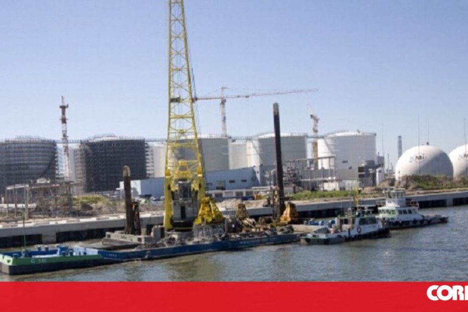 Roterdã para investigar o papel do maior porto da Europa na guerra israelense - mundo
