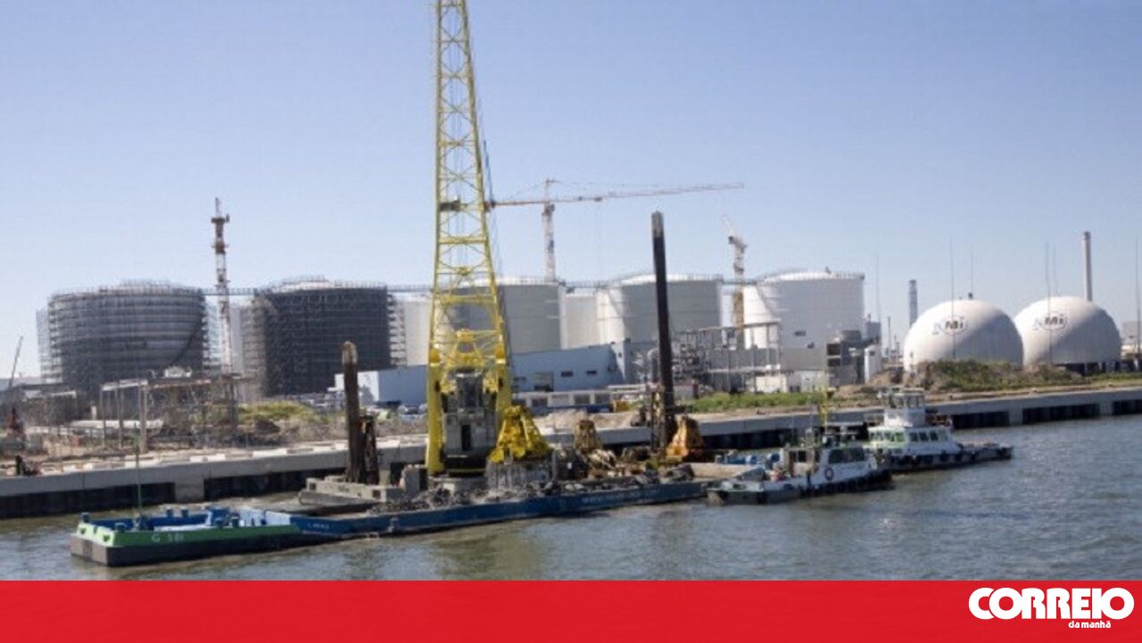 Roterdã para investigar o papel do maior porto da Europa na guerra israelense – mundo