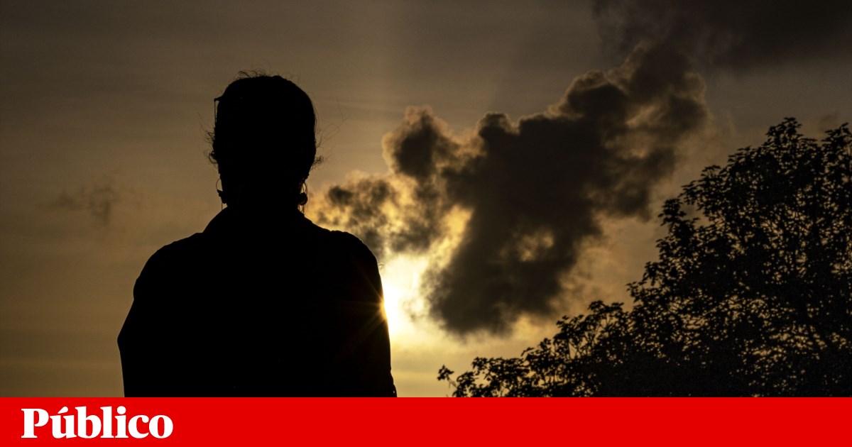 Sete pessoas foram mortas no contexto da violência doméstica nos três primeiros meses deste ano | Justiça