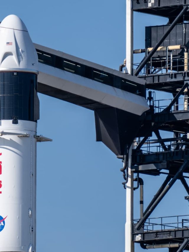 Spacex beats Trump's threatened giant dragon