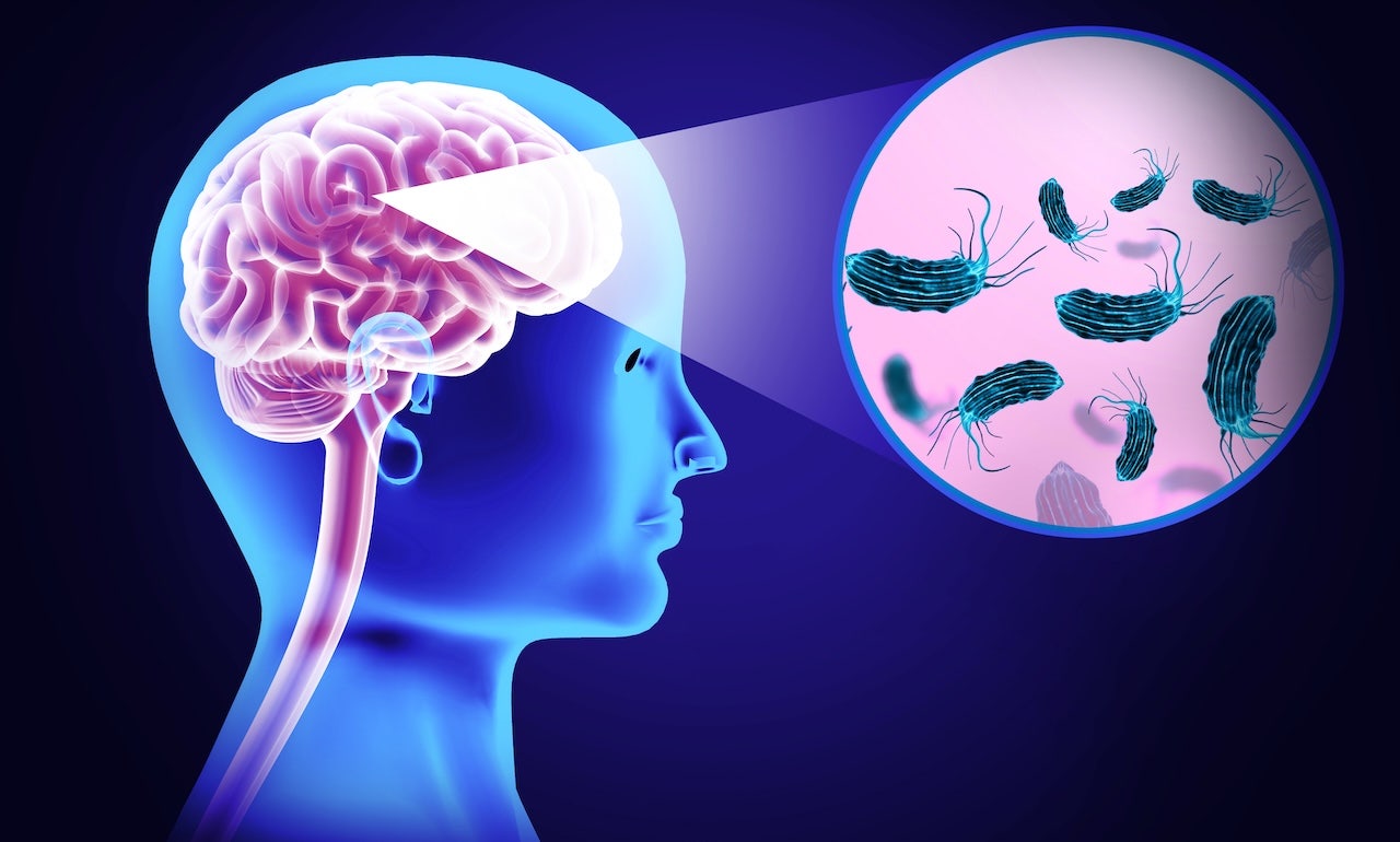 Texas woman died of brain-eating amoeba after using a nose irrigation device
