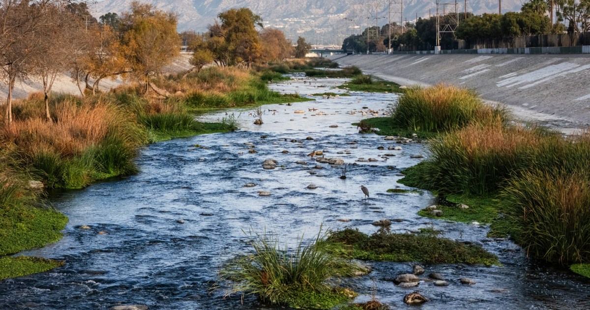 The California startup is cleaning water and removing carbon dioxide from the atmosphere – all at reduced costs