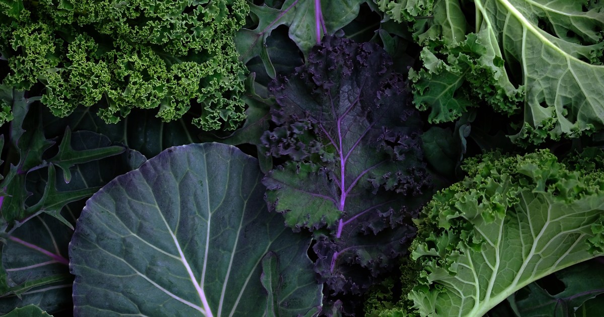 Why Thinking Diet Better to the Mediterranean in Protecting Dementia